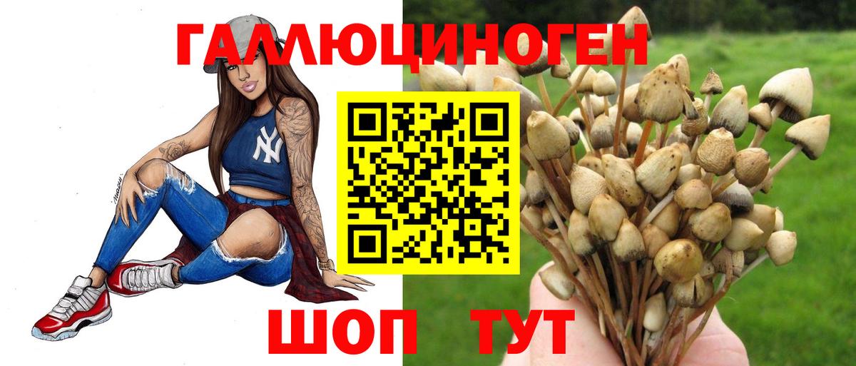 Псилоцибиновые грибы ЛСД Богородицк